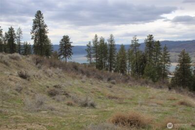 42195 Miles Creston Road N, Creston, WA 99122 - Photo 7