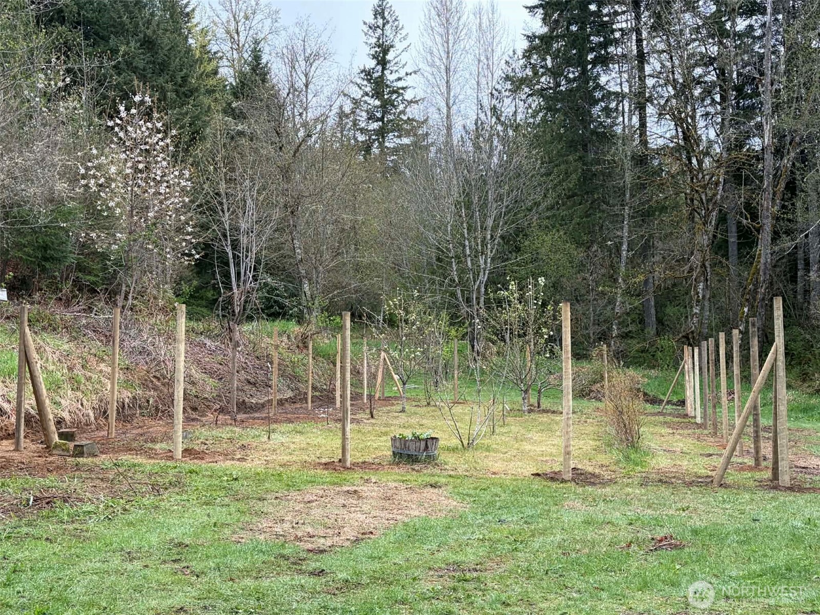 185 Wilderness Drive , Randle, WA 98377