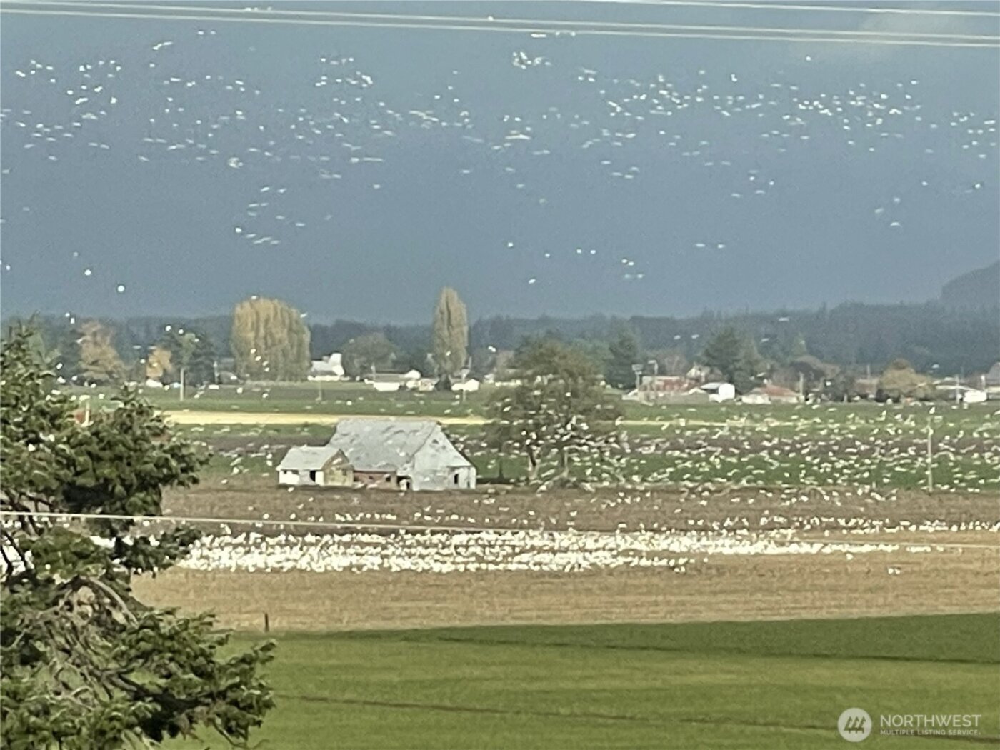 18122 Best Road , Mount Vernon, WA 98273