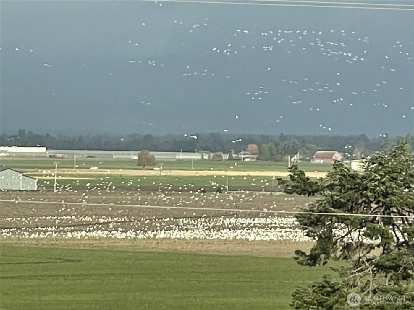 18122 Best Road , Mount Vernon, WA 98273