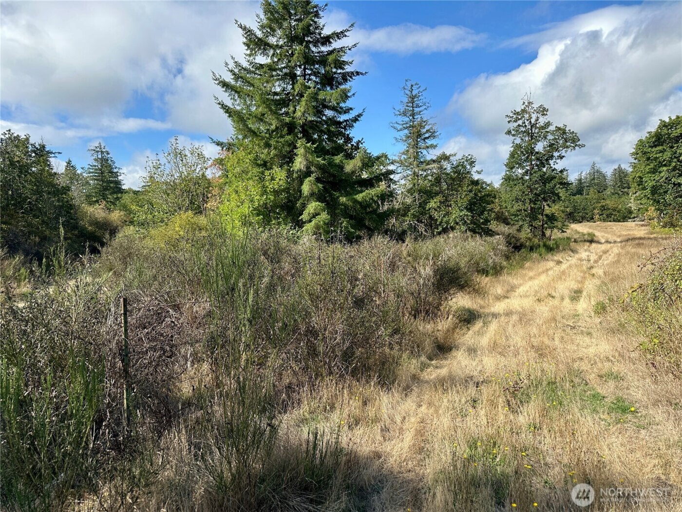 0 Dannie Womer Lane , Oakville, WA 98568-9604