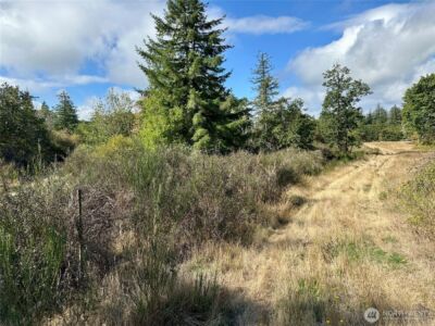 0 Dannie Womer Lane , Oakville, WA 98568-9604