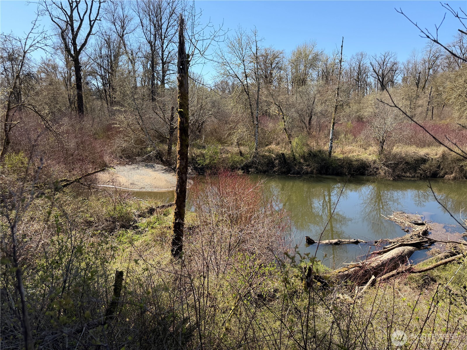 0 Dannie Womer Lane , Oakville, WA 98568-9604