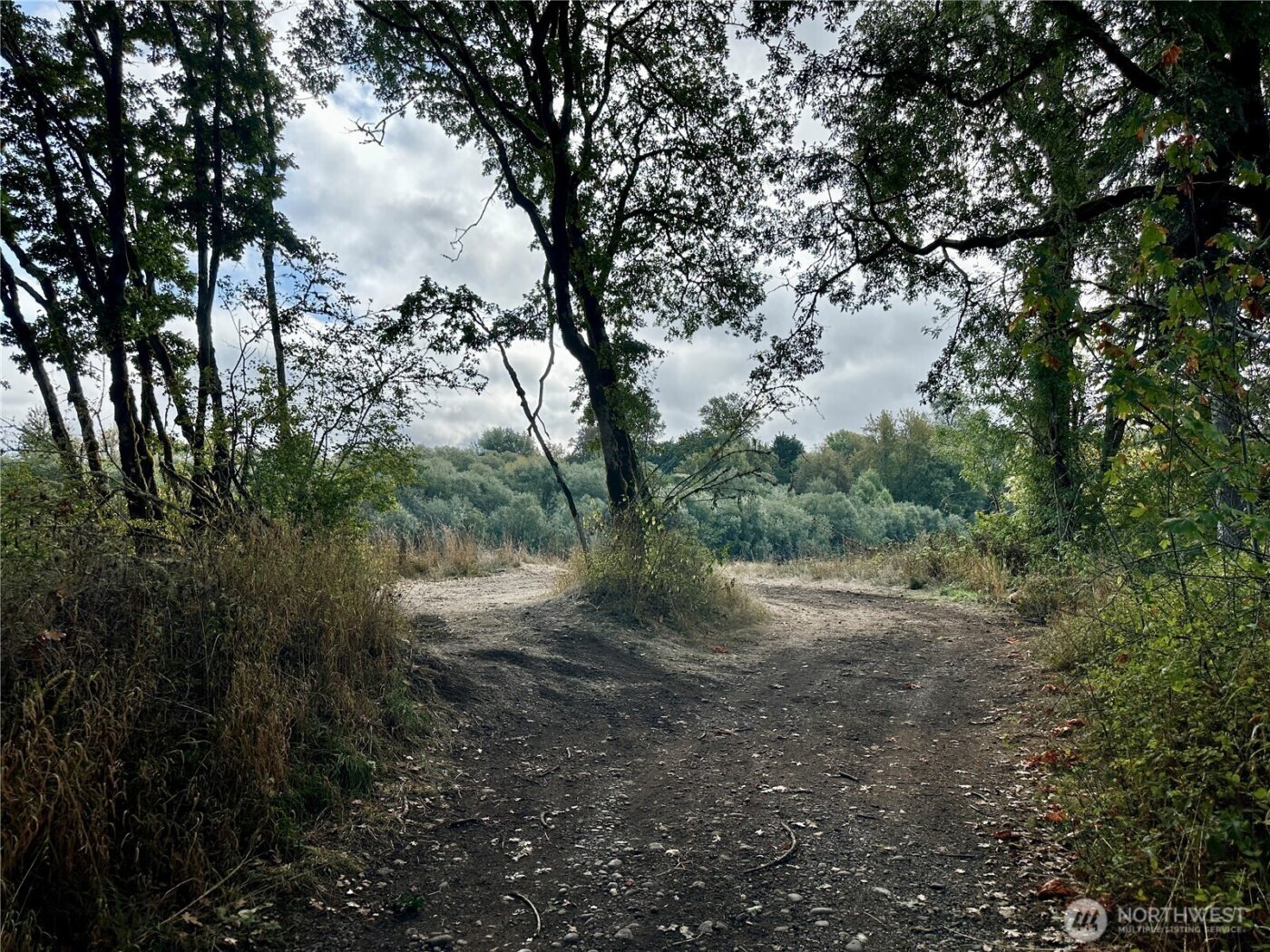 0 Dannie Womer Lane , Oakville, WA 98568-9604