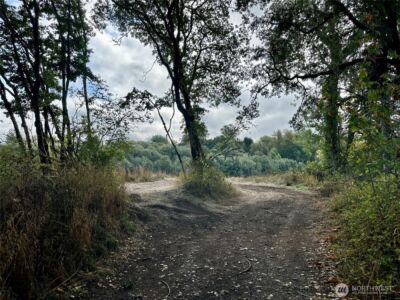 0 Dannie Womer Lane , Oakville, WA 98568-9604 - Photo 13