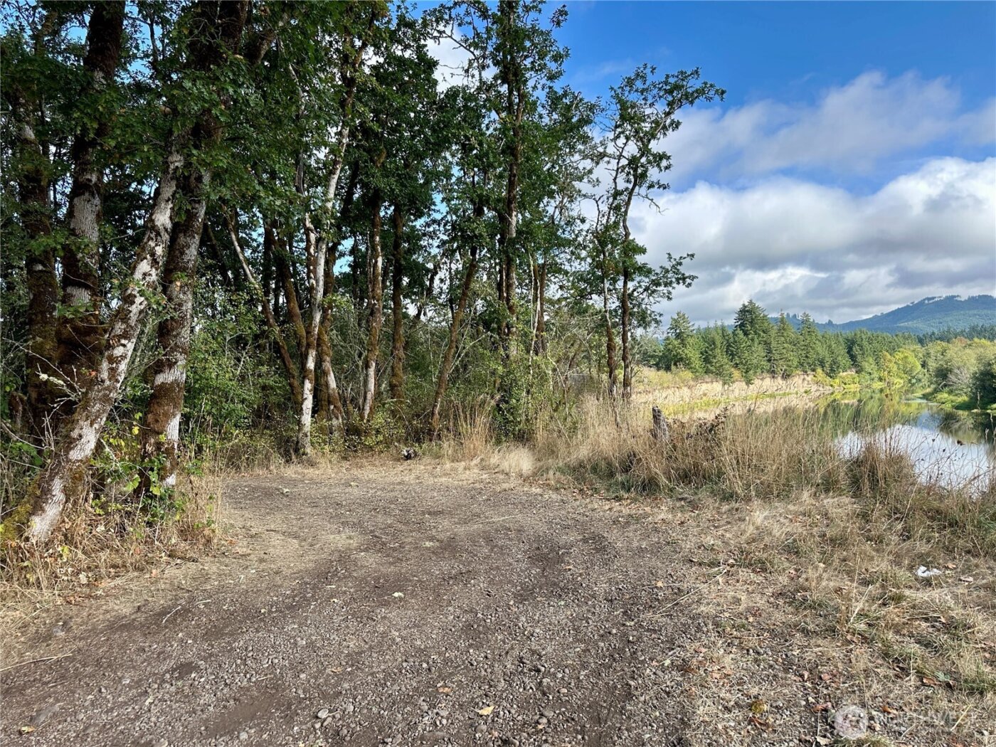 0 Dannie Womer Lane , Oakville, WA 98568-9604