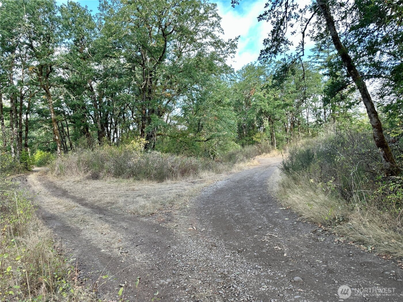 0 Dannie Womer Lane , Oakville, WA 98568-9604