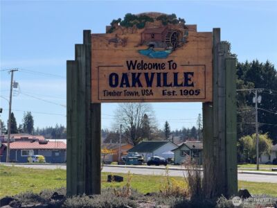 0 Dannie Womer Lane , Oakville, WA 98568-9604 - Photo 17