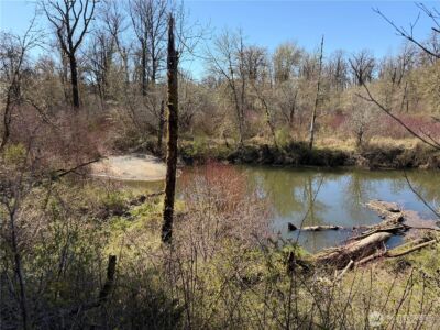 0 Dannie Womer Lane , Oakville, WA 98568-9604 - Photo 2