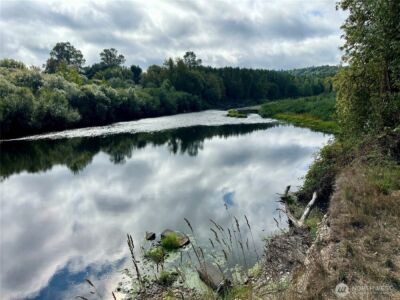 0 Dannie Womer Lane , Oakville, WA 98568-9604 - Photo 3