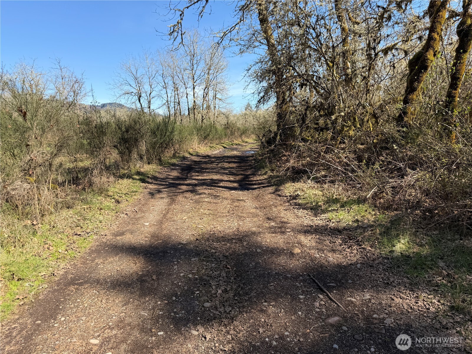 0 Dannie Womer Lane , Oakville, WA 98568-9604