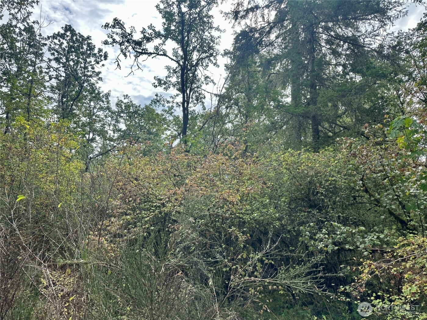 0 Dannie Womer Lane , Oakville, WA 98568-9604