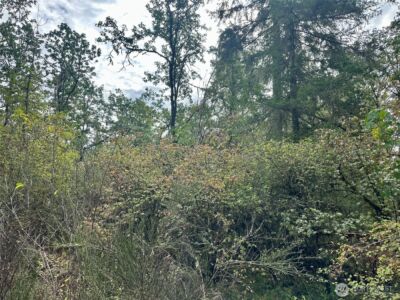 0 Dannie Womer Lane , Oakville, WA 98568-9604 - Photo 10