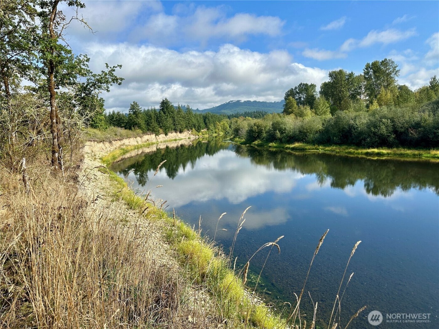 0 Dannie Womer Lane , Oakville, WA 98568-9604