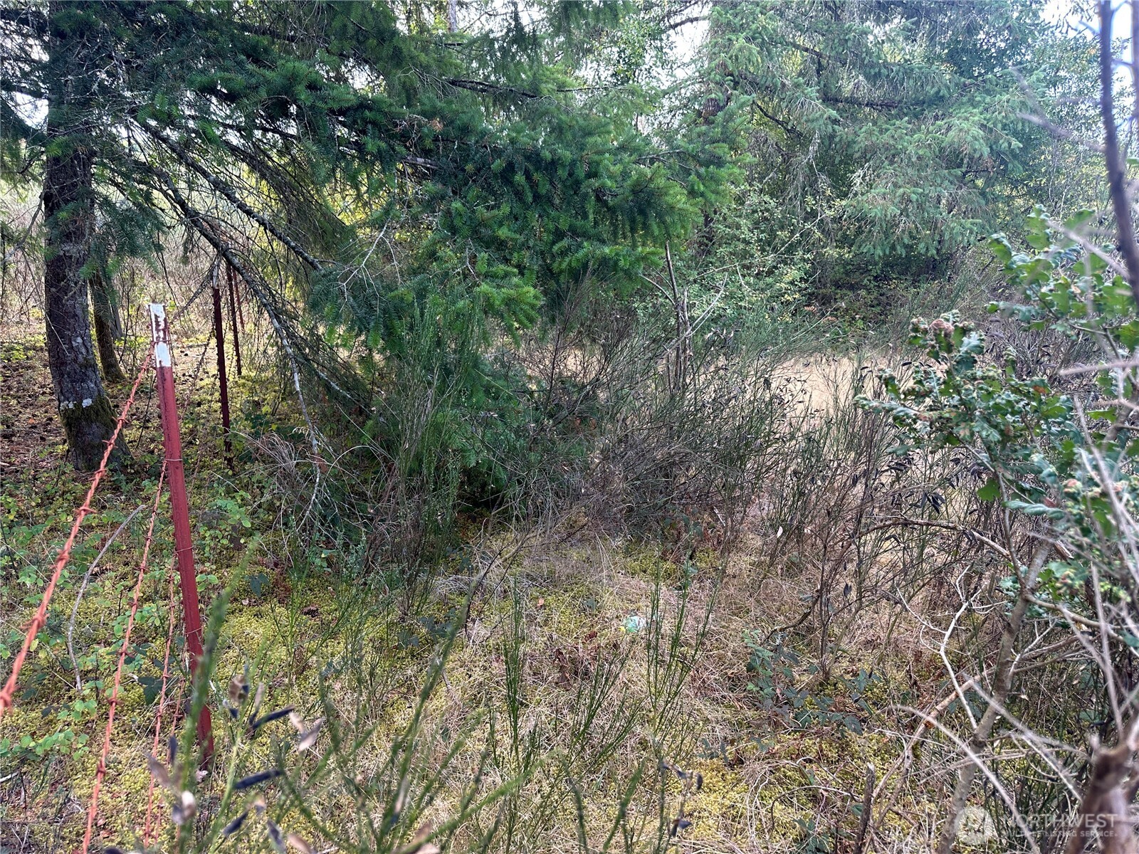 0 Dannie Womer Lane , Oakville, WA 98568-9604