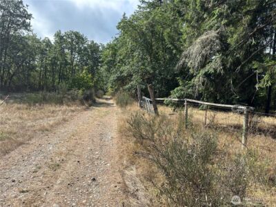 0 Dannie Womer Lane , Oakville, WA 98568-9604 - Photo 12