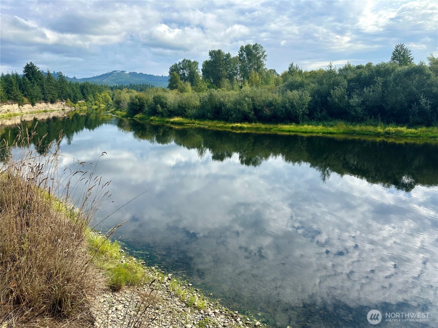 0 Dannie Womer Lane , Oakville, WA 98568-9604