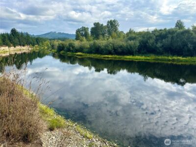 0 Dannie Womer Lane , Oakville, WA 98568-9604 - Photo 14