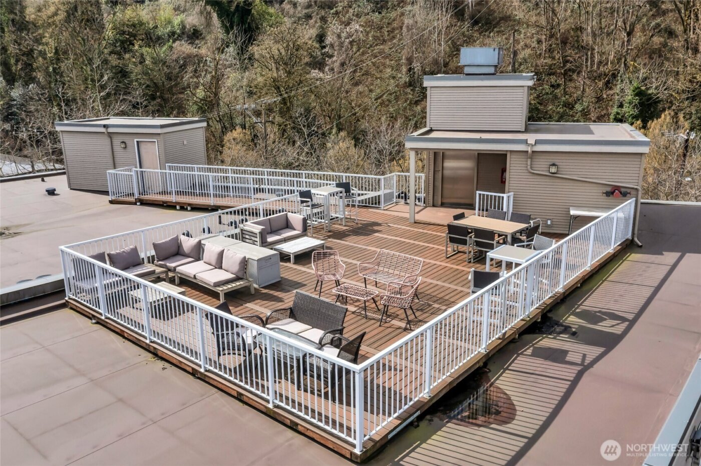 559 McGraw Street #201, Seattle, WA 98109