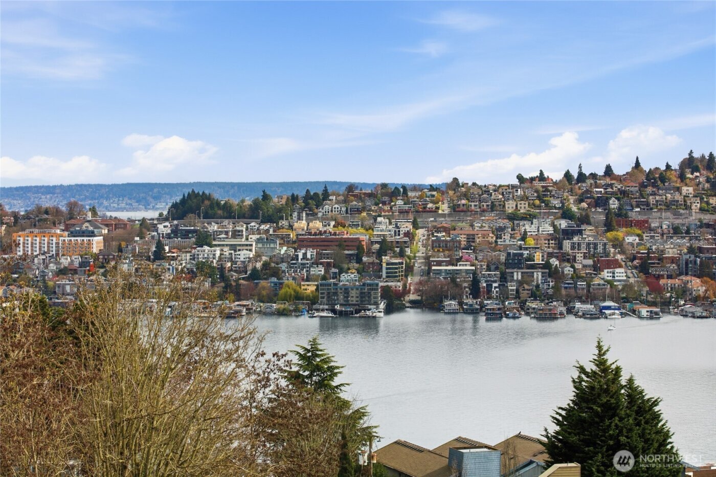 559 McGraw Street #201, Seattle, WA 98109