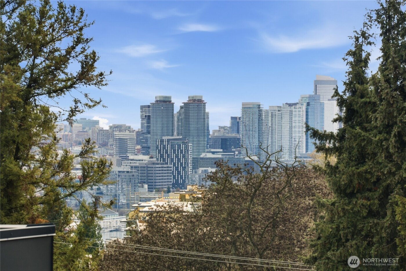 559 McGraw Street #201, Seattle, WA 98109