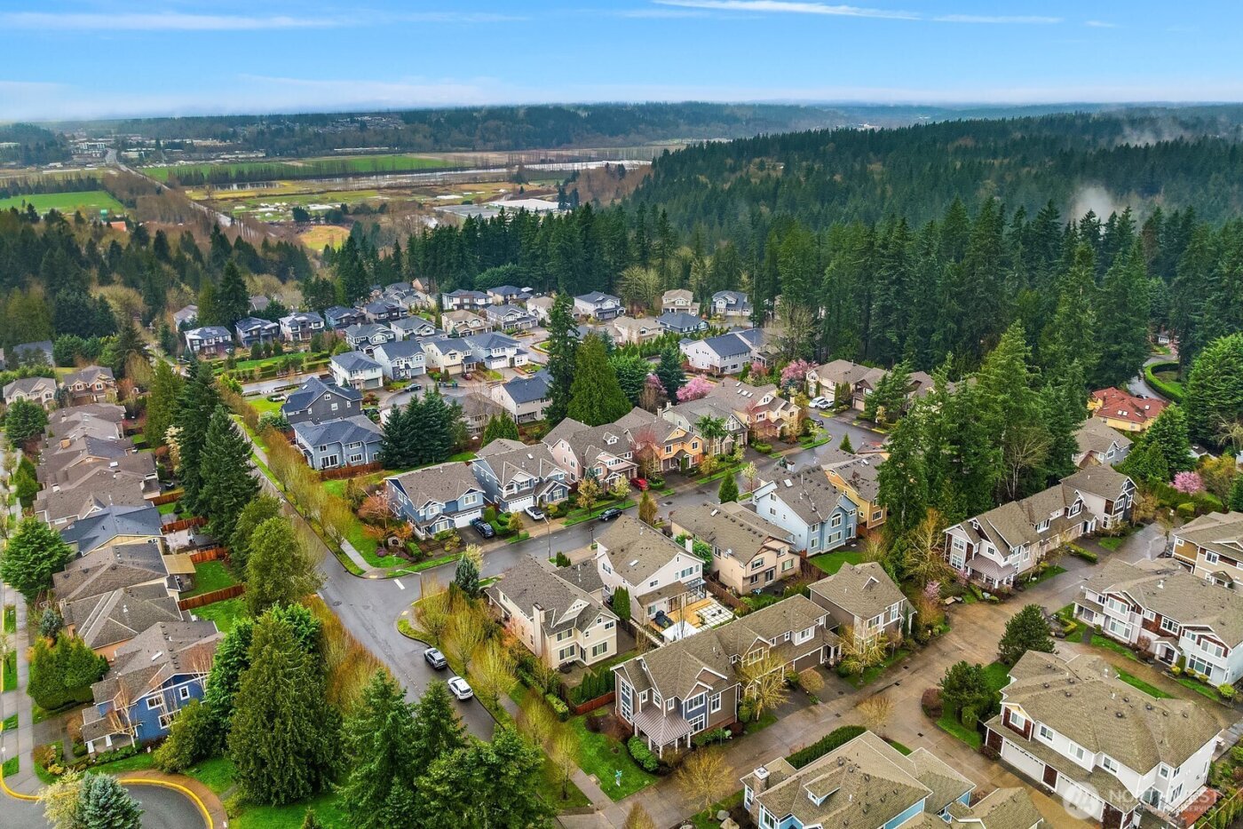 12211 168th Court NE, Redmond, WA 98052