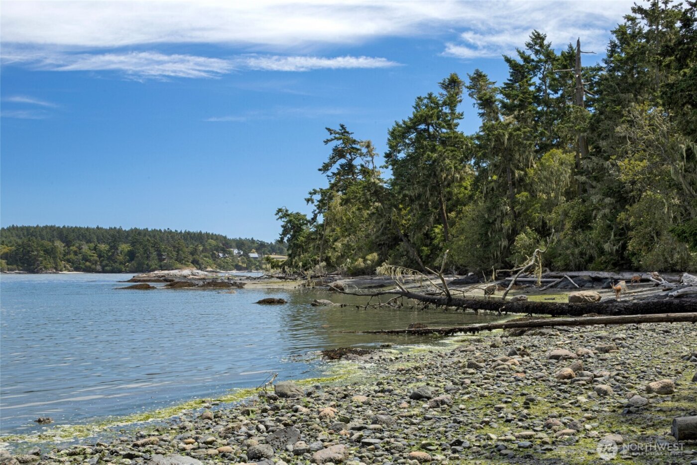 16 Bayshore Road , Friday Harbor, WA 98250