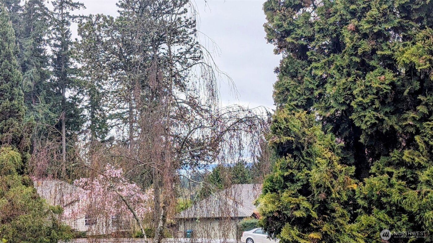 8111 46th Place W #C1, Mukilteo, WA 98275