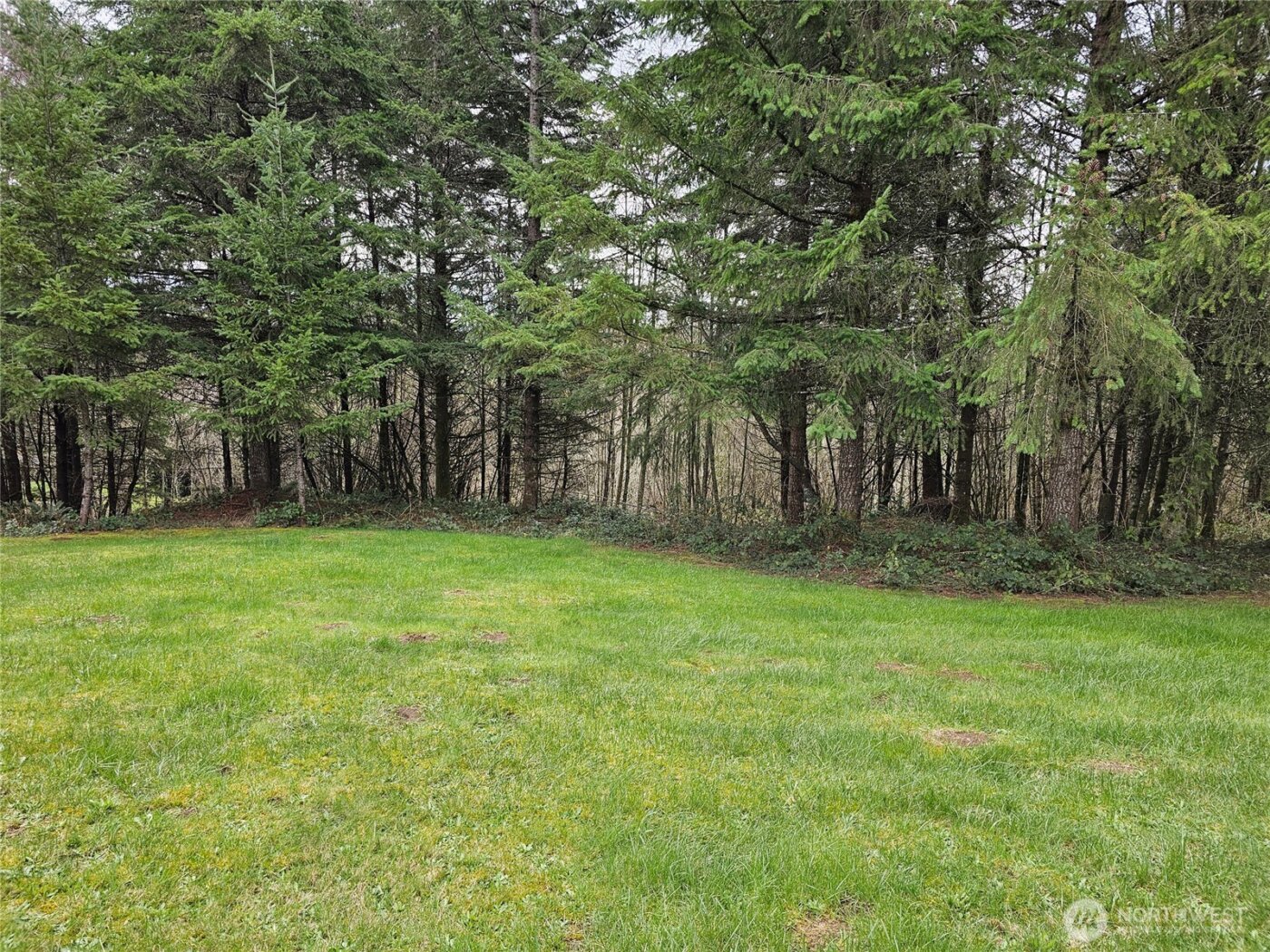 190 Tamaracks Drive , Onalaska, WA 98570