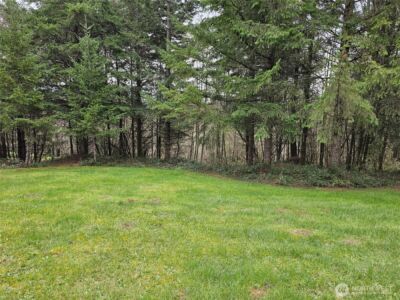 190 Tamaracks Drive , Onalaska, WA 98570 - Photo 24