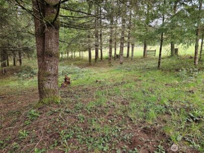 190 Tamaracks Drive , Onalaska, WA 98570 - Photo 26