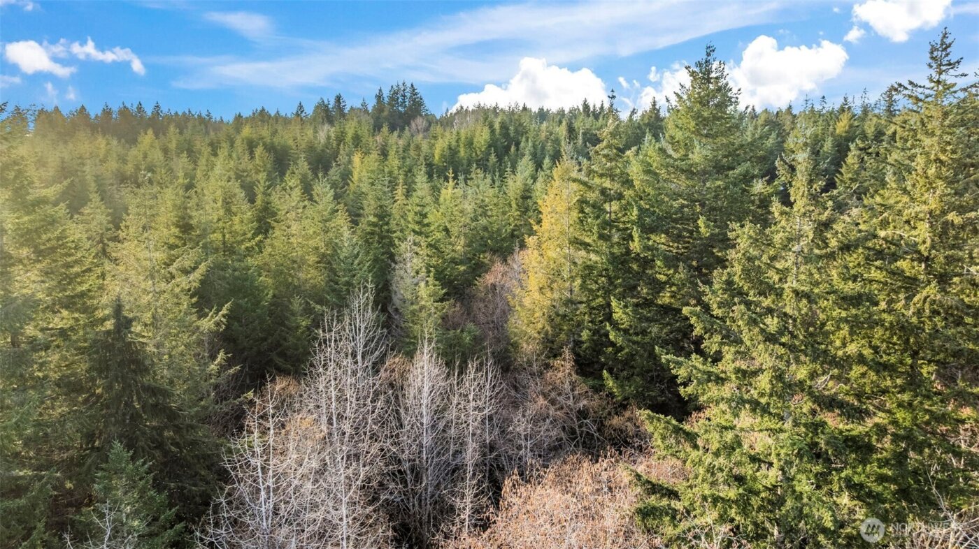 16506 118th Street NW, Gig Harbor, WA 98329