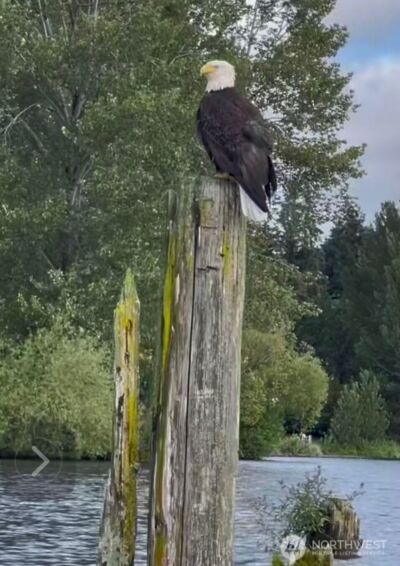 8772 Sand Point Way NE, Seattle, WA 98115 - Photo 40