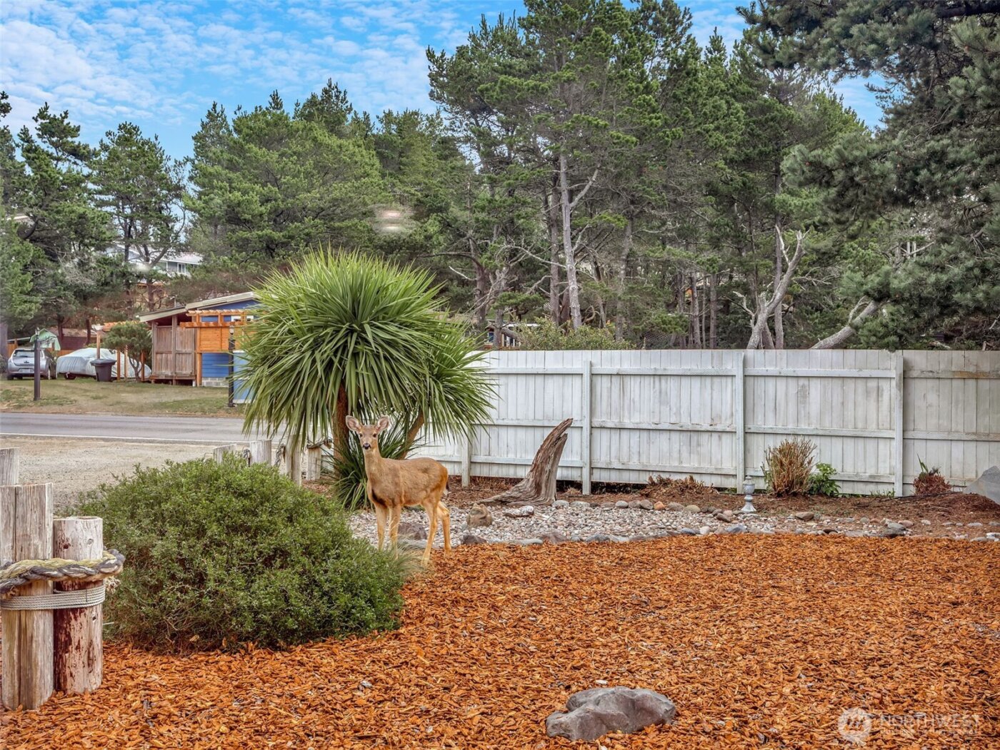 29515 I Street , Ocean Park, WA 98640