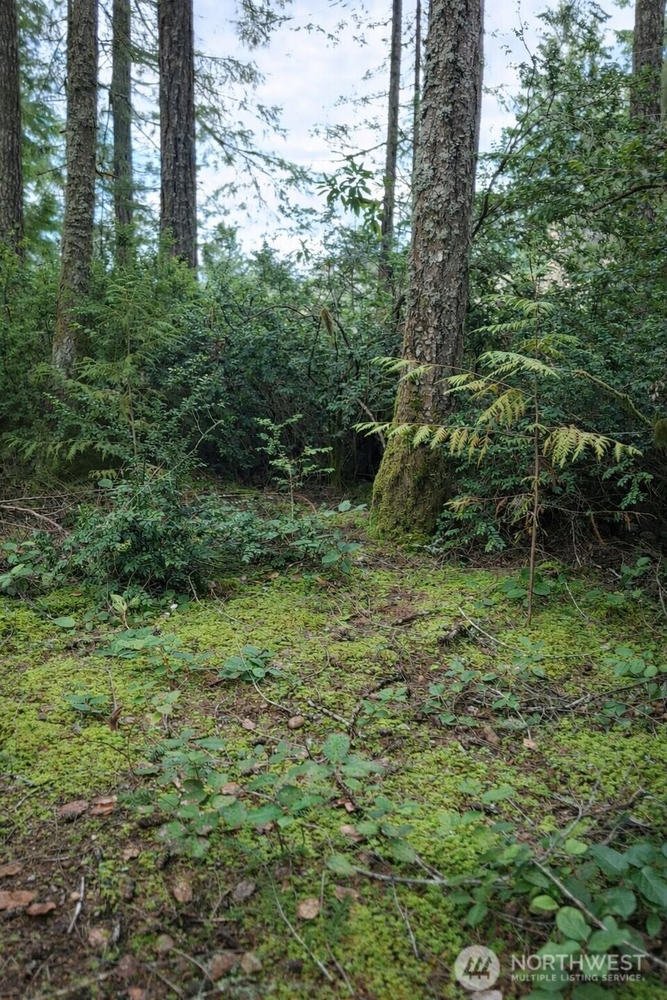 2495 Christopher Road NW, Seabeck, WA 98380