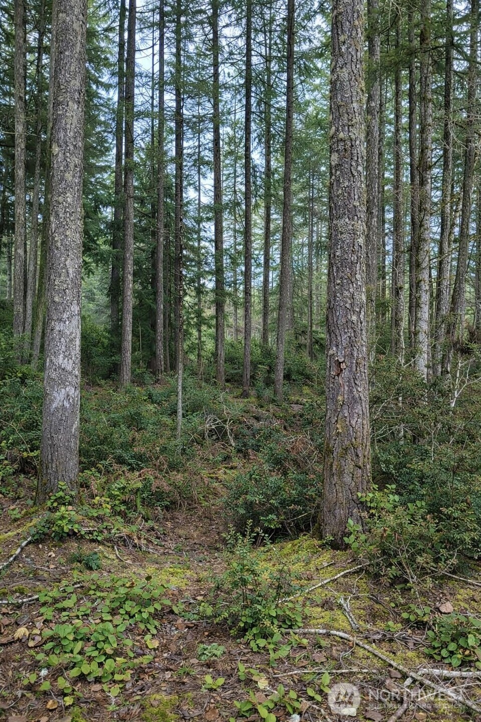 2495 Christopher Road NW, Seabeck, WA 98380