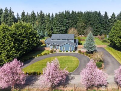 8910 Lavaliere Meadows Lane SW, Rochester, WA 98579 - Photo 2