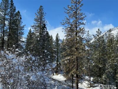 219 Dempsey Road , Leavenworth, WA 98826 - Photo 36