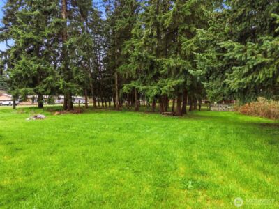 17631 Jordan Street SW, Rochester, WA 98579 - Photo 27