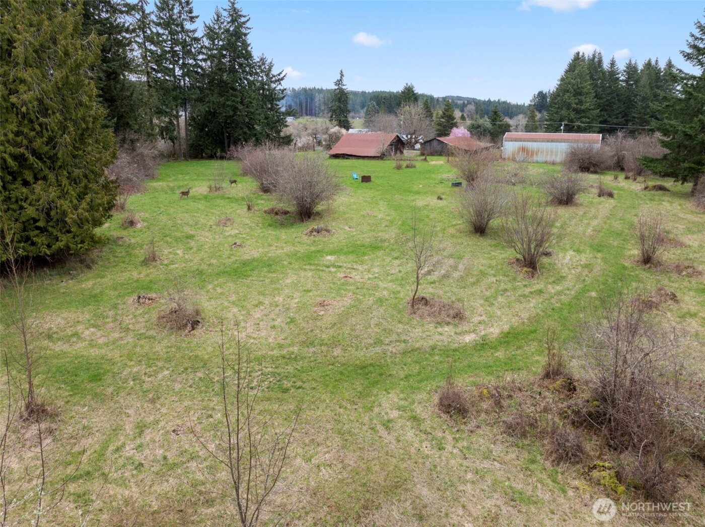251 Chandler Road , Chehalis, WA 98532