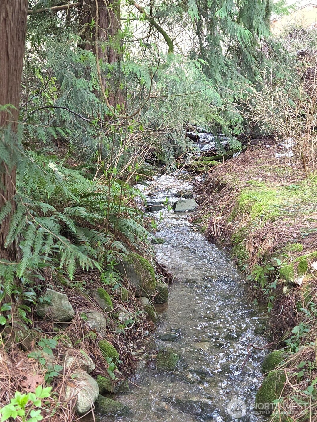 4725 272nd Avenue NE, Redmond, WA 98053