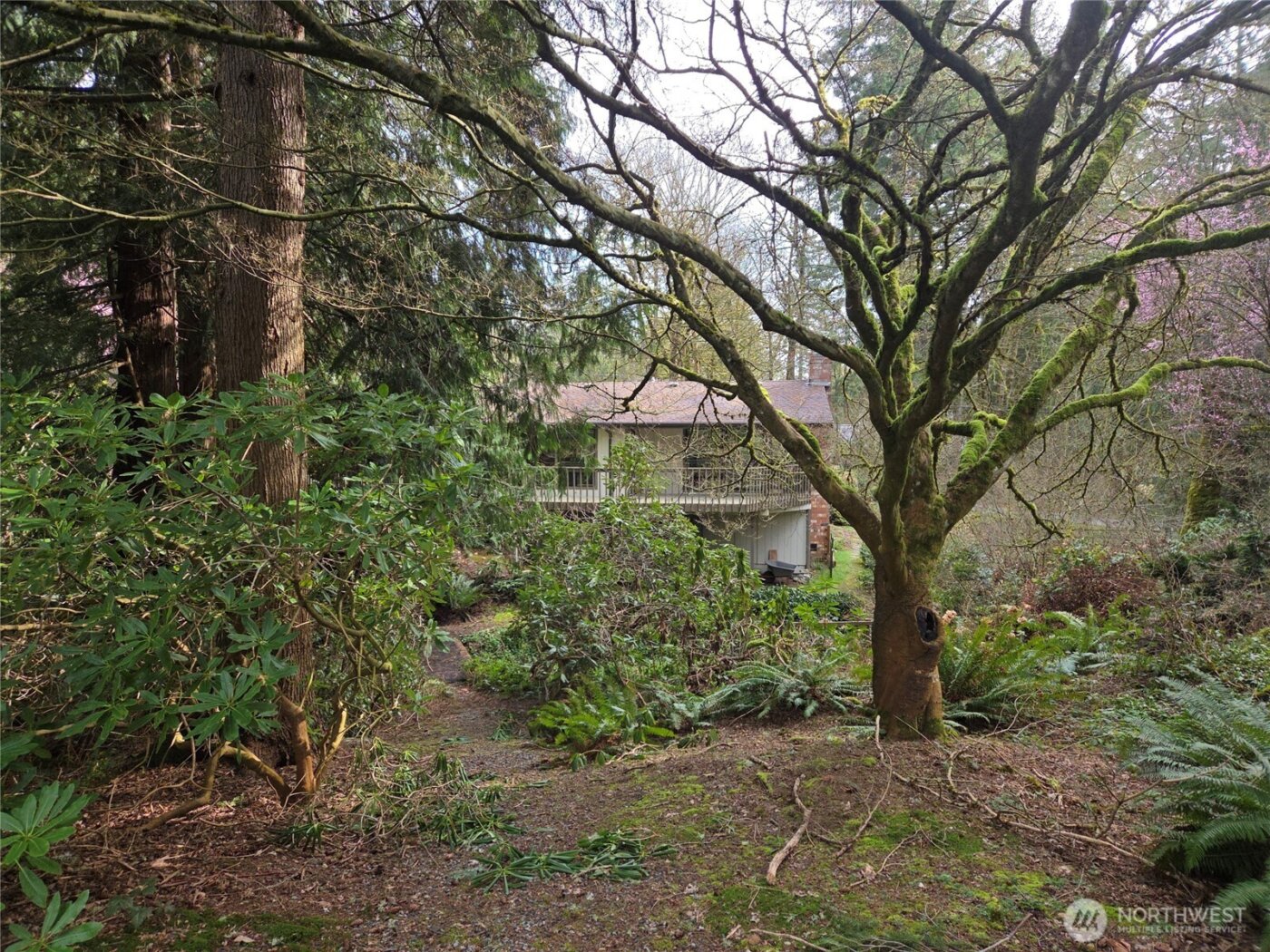 4725 272nd Avenue NE, Redmond, WA 98053