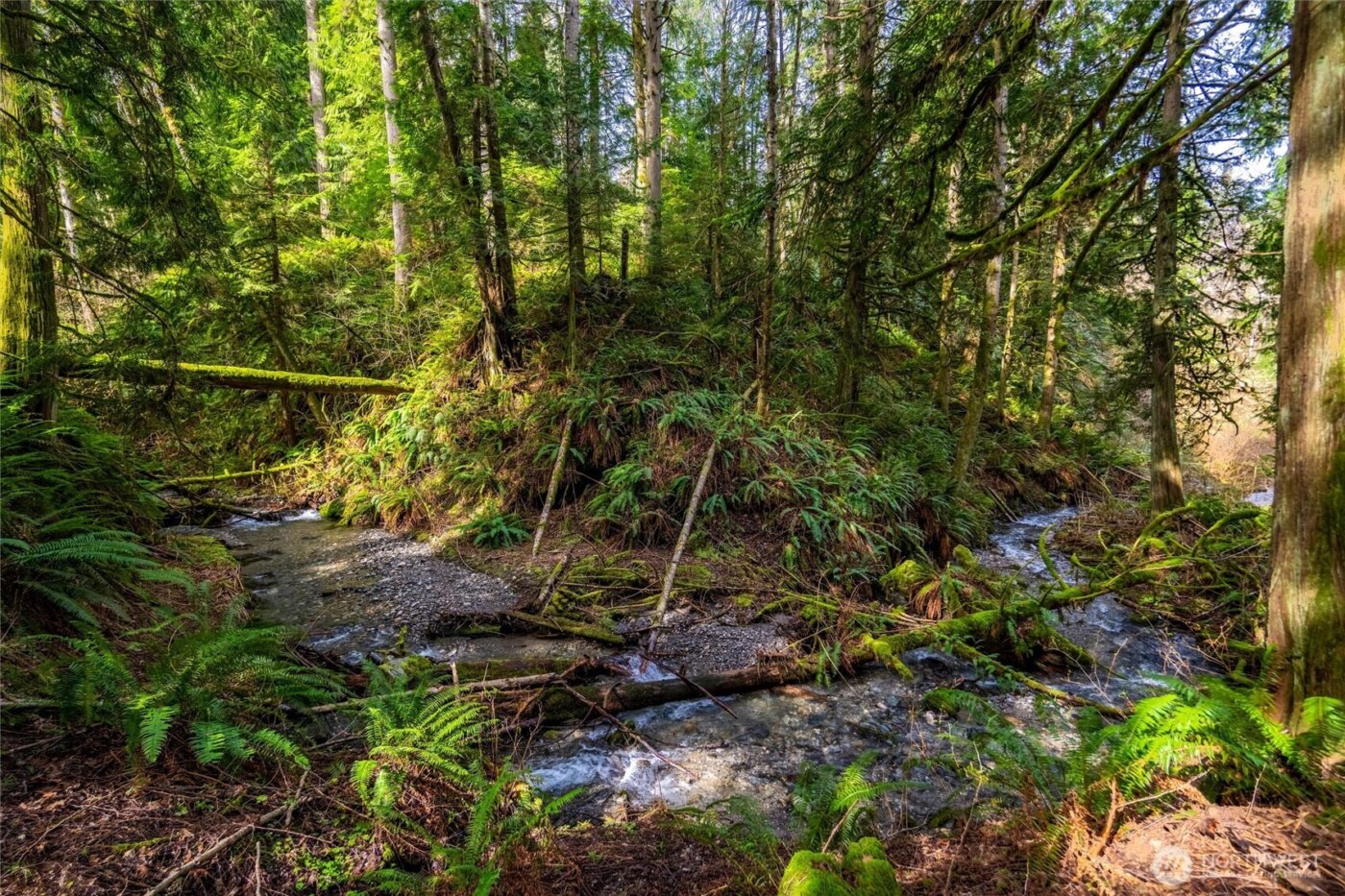 17231 Barrell Springs Lane , Bellingham, WA 98229