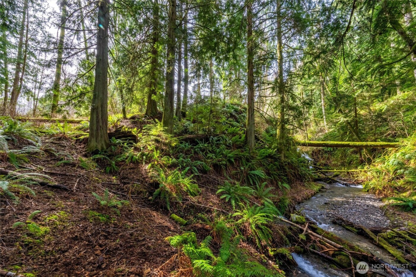 17231 Barrell Springs Lane , Bellingham, WA 98229