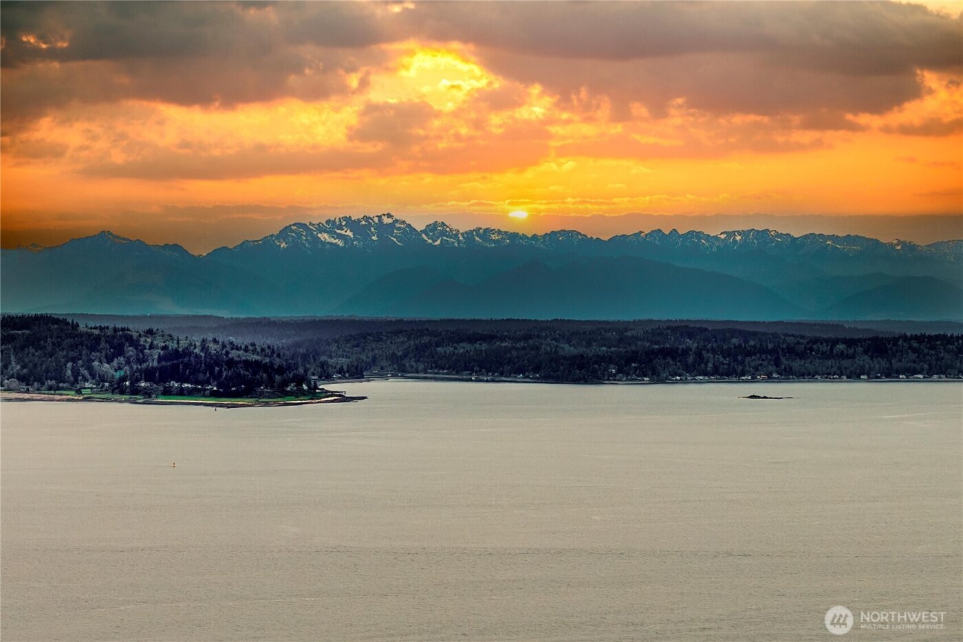 4226 Beach Drive SW #102, Seattle, WA 98116