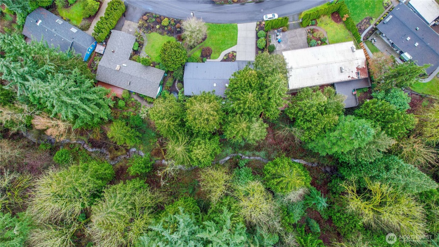 3227 103rd Place NE, Bellevue, WA 98004