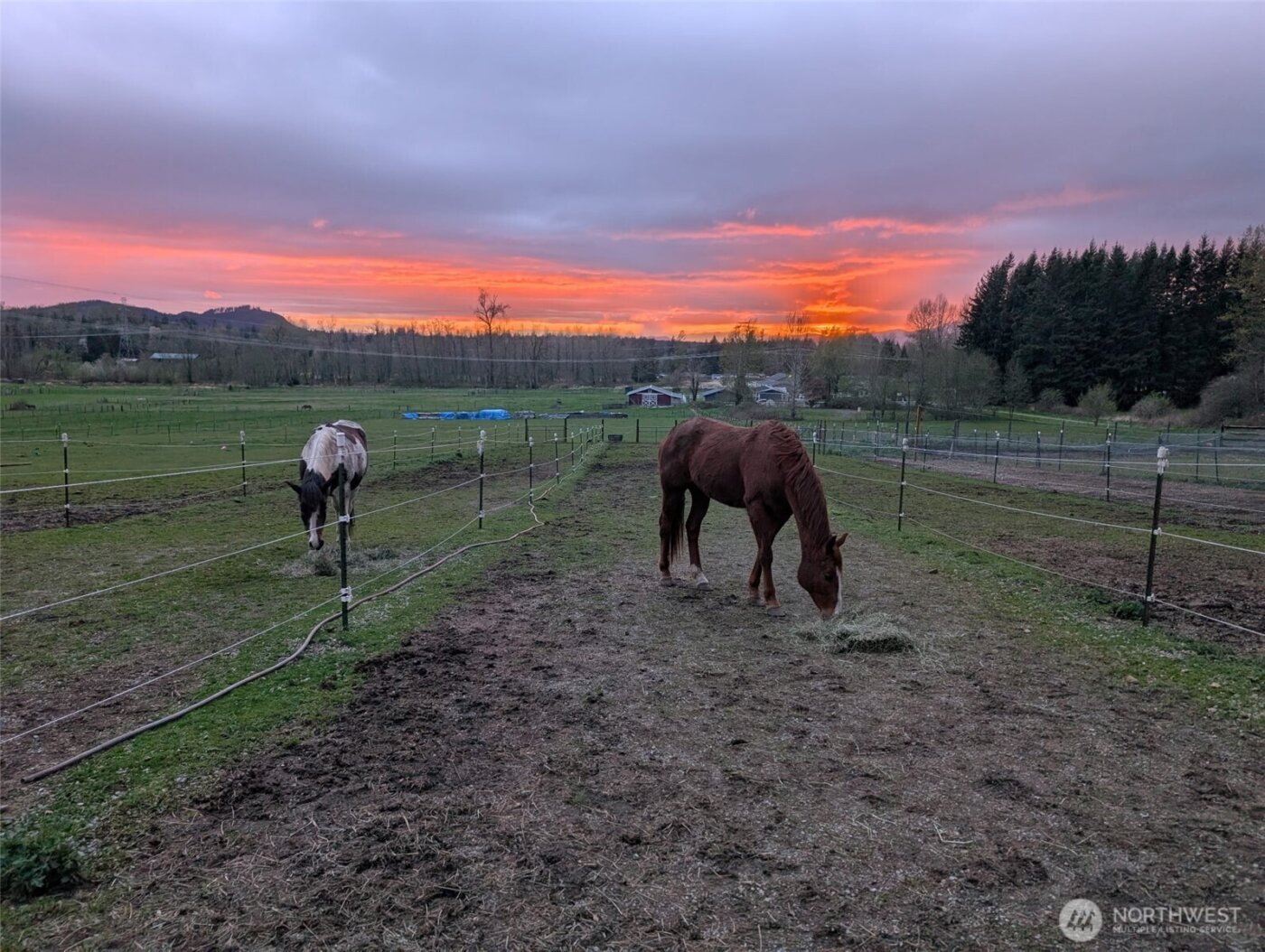 5334 Tenneson Road , Sedro Woolley, WA 98284