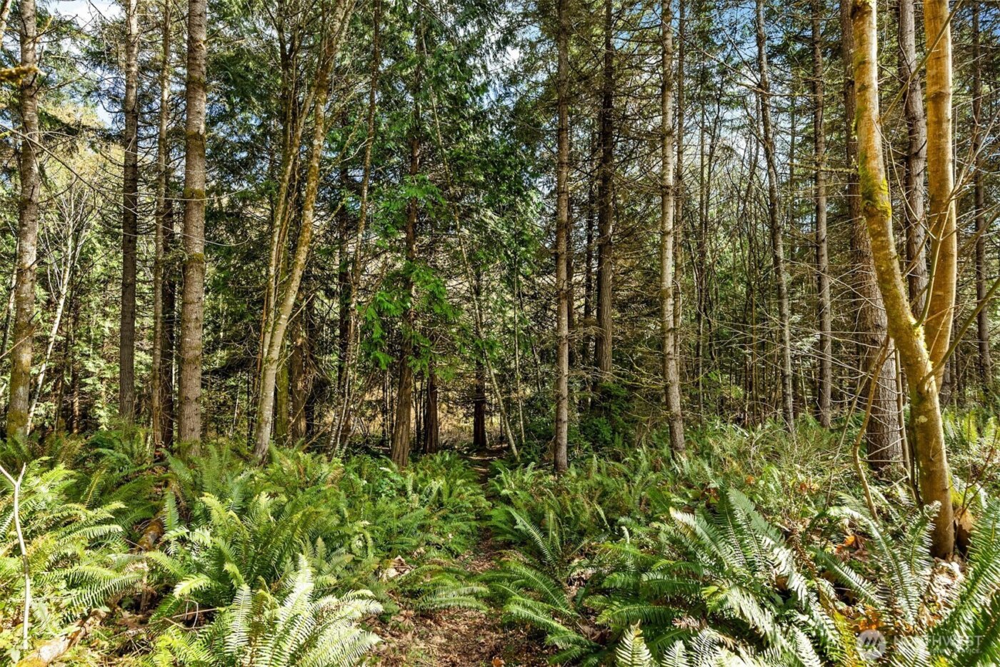 9581 NE Sigrids Court , Bainbridge Island, WA 98110