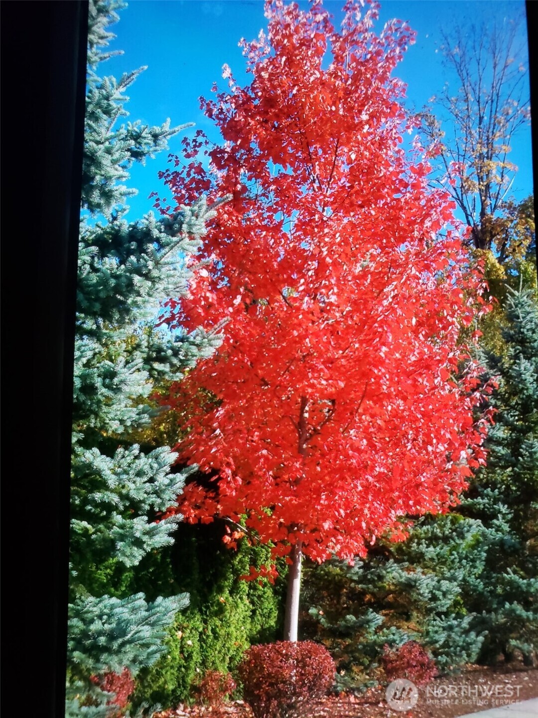 538 241st Lane SE, Sammamish, WA 98074-9807