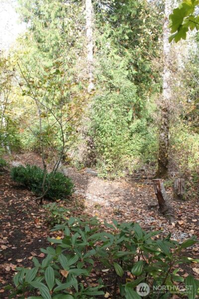 538 241st Lane SE, Sammamish, WA 98074-9807 - Photo 7